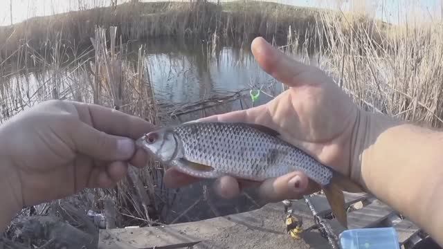 Это просто КАЙФ! Первая рыбалка на поплавочную удочку!