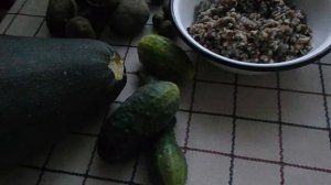 Утки и отруби. Утки и кукуруза., Влажная мешанка для уток.