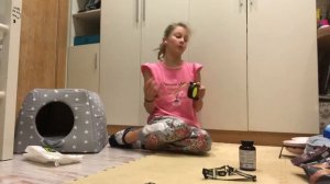 Что нужно для появления щенка Йорка в доме. И что надо будет.