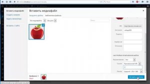 Как добавить картинку в виджеты WordPress?