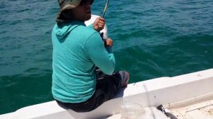 Fishing Barracuda 25 pounds part 1