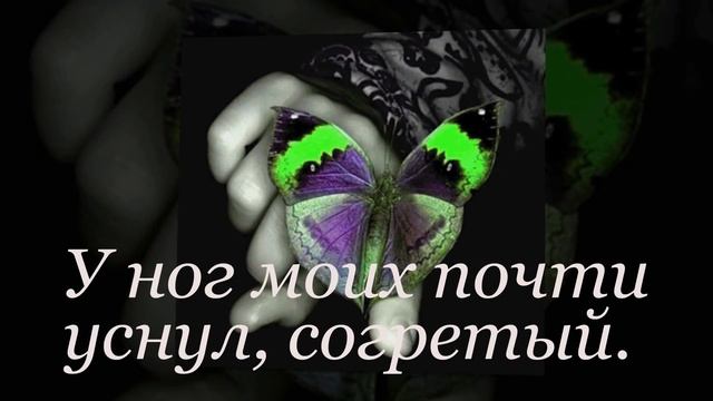 Самое красивое видео... стихи и музыка.. Город снов смотреть онлайн