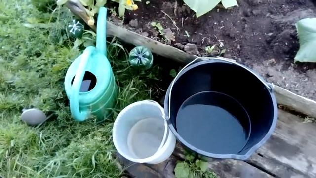 здравень. подкормка капусты и обработка от вредителей, капуста белокочанная удобряем смотреть онлайн