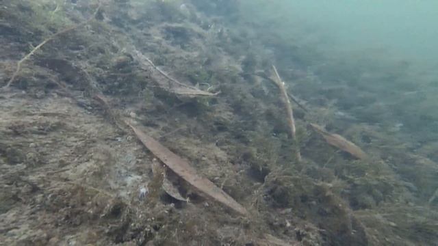 Подледная съемка. Глухозимье. Тестируем экшн-камеру YI Lite Action под водой. смотреть онлайн