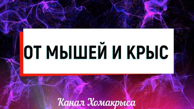 Ультразвук от мышей и крыс Эффективный отпугиватель грызунов Как избавиться от мышей и крыс навсегд