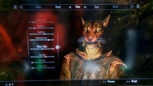 SKYRIM CHARACTER CREATION!