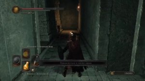 Dark Souls 2 часть 53: Святилище Дракона, костер за иллюзорной стеной