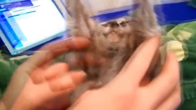 Узбагойся смотреть онлайн