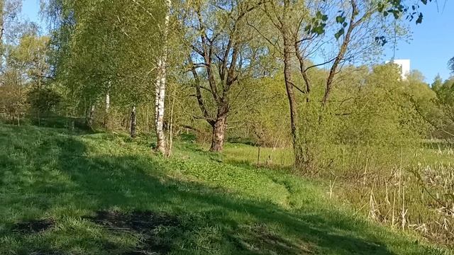 Большой пруд на речке Гвоздянка