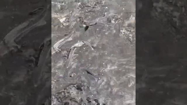 Петровский водоём Рыбалка и отдых для всей семьи в Подмосковье
