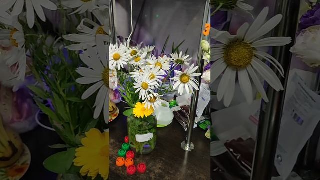 цветы