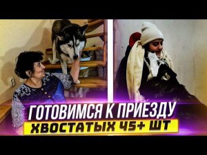 Первое утро в новом доме Утепляем Гараж. готовимся к приезду моих подобрышей с Новопавловска