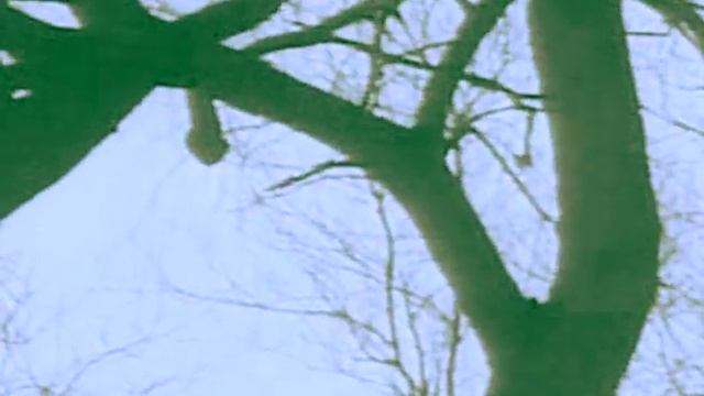 Мегаполис "Gipsy 70"