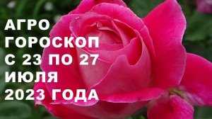 Агрогороскоп с 23 по 27 июля 2023 года. Агрогороскоп з 23 по 27 липня 2023 року