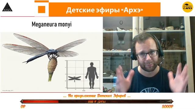 Детский эфир "Мир, принадлежащий насекомым"|рубрика "Неурочные беспозвоночные" от Вадима Марьинског
