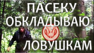 Вокруг пасеки ставлю роеловки. Как зимуют ловушки на пчёл. Осы в ловушках. Ловушки без рамок