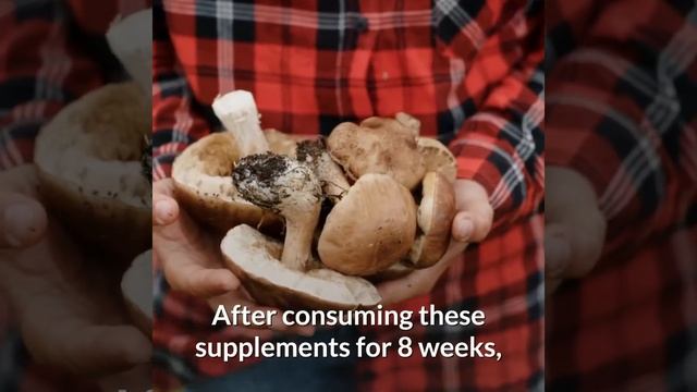 6 Benefits Of Ganoderma Lucidum / Health Benefits of Reishi Mushroom смотреть онлайн