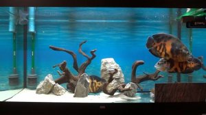 Фотоаппарат. 1920х1080. 11.11.20