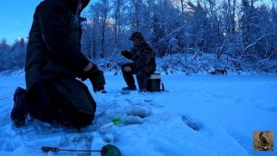 Открытие зимней рыбалки на домашней реке. Отличная погода и жерлицы