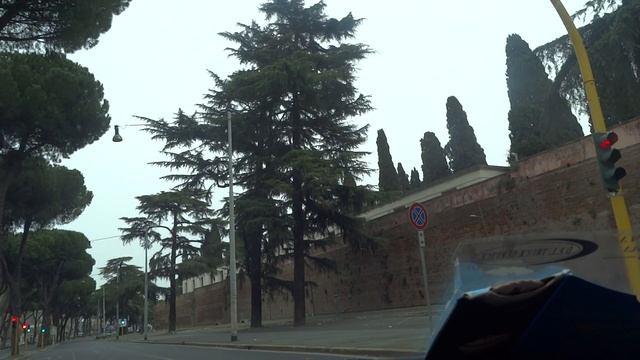 Famoso pino Roma     Знаменитые  пинии  Рима смотреть онлайн