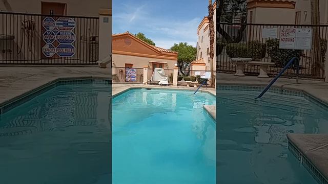 Утро, пальмы, Лас Вегас))) смотреть онлайн