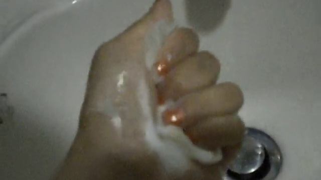 試用產品 : 蘆薈無患子修護滋養皂