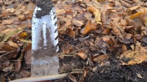 Находки в старом парке Алматы... #поиск #коп