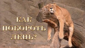 Как побороть лень и уныние