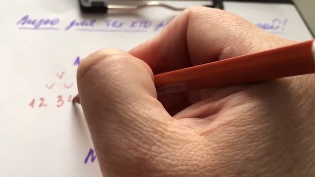 #командопостроение #праймерс #работадома РАБОТА С КОМАНДОЙ смотреть онлайн