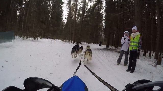 Зов Предков, Егорьевск 20.02.2016 Старт смотреть онлайн