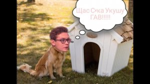 Никита кологривый кусается