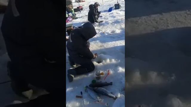 Немного видео поимок Форели смотреть онлайн