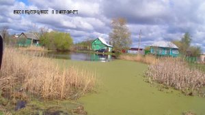 лакаш лягушки