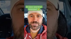 От каких трав бегут паразиты и папиломы?
