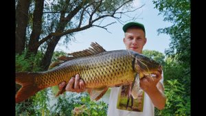 САЗАН АТАКУЕТ. МЕЧТА, А НЕ РЫБАЛКА. ОЧЕНЬ МНОГО РЫБЫ. КРУПНЫЙ КАРАСЬ
