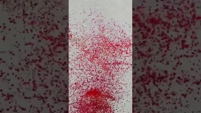 Создавай свой образ вместе с "Today" #shorts #одежда #женскаяодежда #худи #свитшот #палаццо #стиль смотреть онлайн