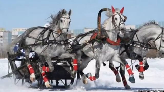 ПО ГОРНЫМ ДОРОГАМ... АВФ смотреть онлайн