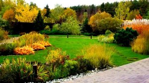 Ландшафтный дизайн 18 и 12 соток с хвойными и злаковыми растениями