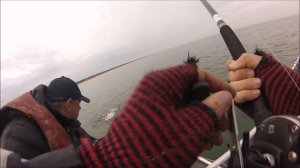 Троллинг Лосося 2020 (рыбалка 2)