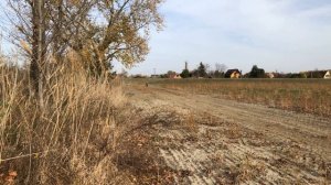 2012 Ktm Sxf 350 - raw sound