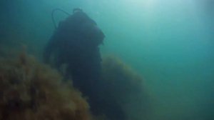 ДАЙВИНГ ДЖУБГА