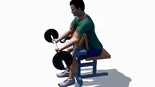 Сгибания рук на скамье Скотта смотреть онлайн