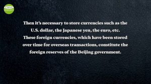 Trillion dollars flee: Chinese people try to move their money abroad (China Insights)