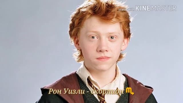 Кто ты по знаку зодиака из Гарри Поттера. смотреть онлайн