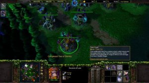 Warcraft III TFT | 1.30 |  NE vs OR Many Hero Kills