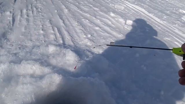 КРУПНАЯ ПЛОТВА ,ОКУНЬ, ЛЕЩ НА БЕЗМОТЫЛКУ!! Рыбалка на Оби в отличной компании часть 1. смотреть онлайн