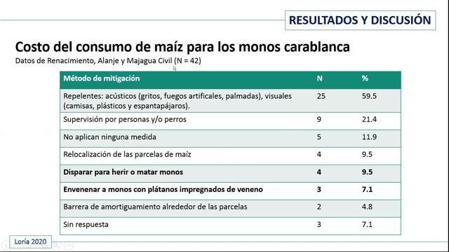 El entorno agrícola como oportunidad para alimentarse: el caso de los monos carablanca смотреть онлайн