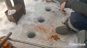 монолог, рыбалка на Волге, зима 23-24г