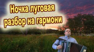 Ночка луговая // Разбор на гармони