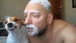 ПРИГЛАШЕНИЕ НА ВЫЛУПЛЕНИЕ!!!!!!.mp4